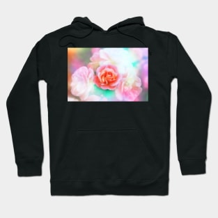 Pink rose with texture Hoodie